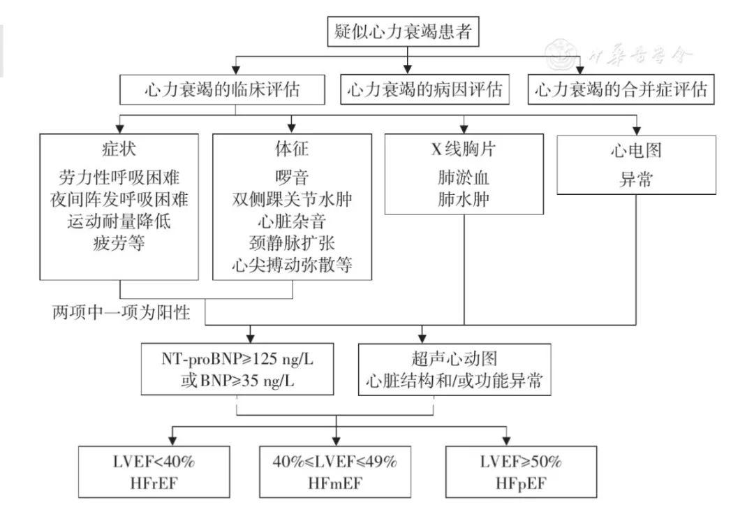 心力衰竭思维导图高清图片