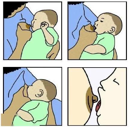 婴儿吃母乳 衔接图片