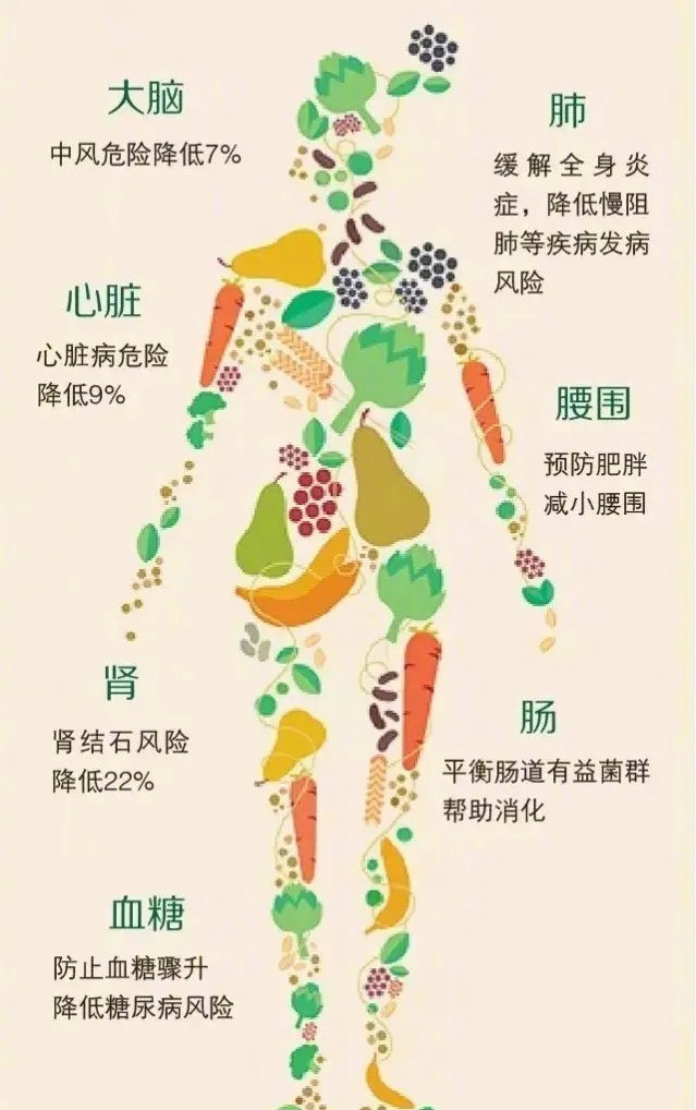 膳食纤维不一定有减肥作用但可调节心血管健康