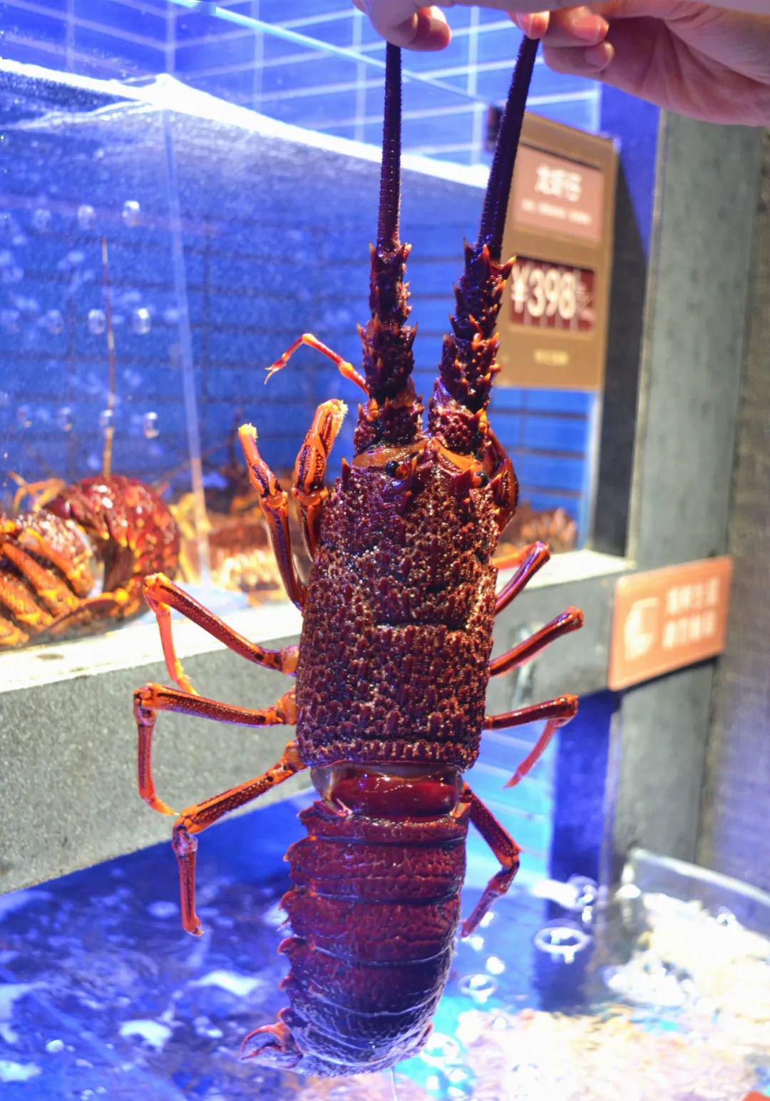 春日蚌仔尝鲜,徐记海鲜又双叒叕开新店啦!_西安