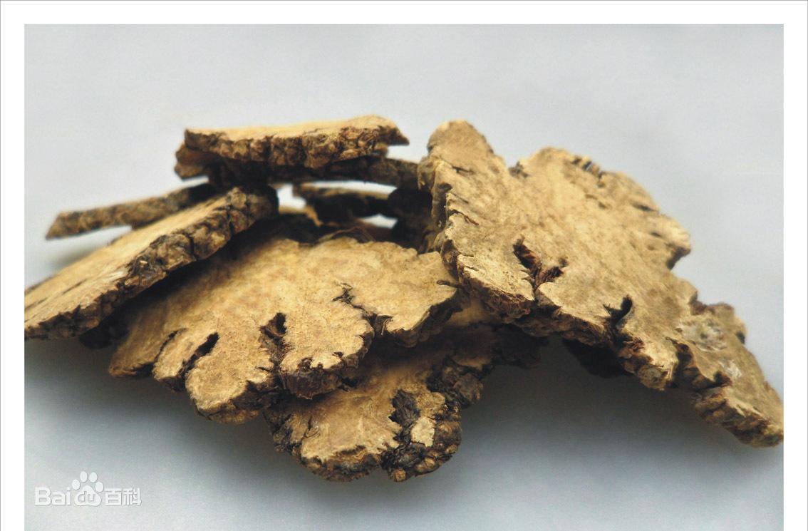 今日养生药材—川穹_药王