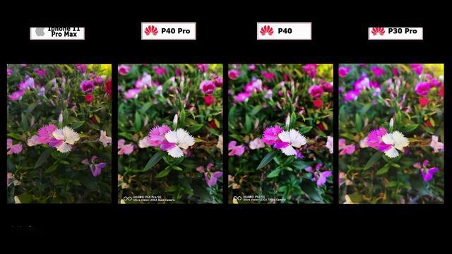 华为p40p40prop30proiphone11promax拍照对比差距比想象还大