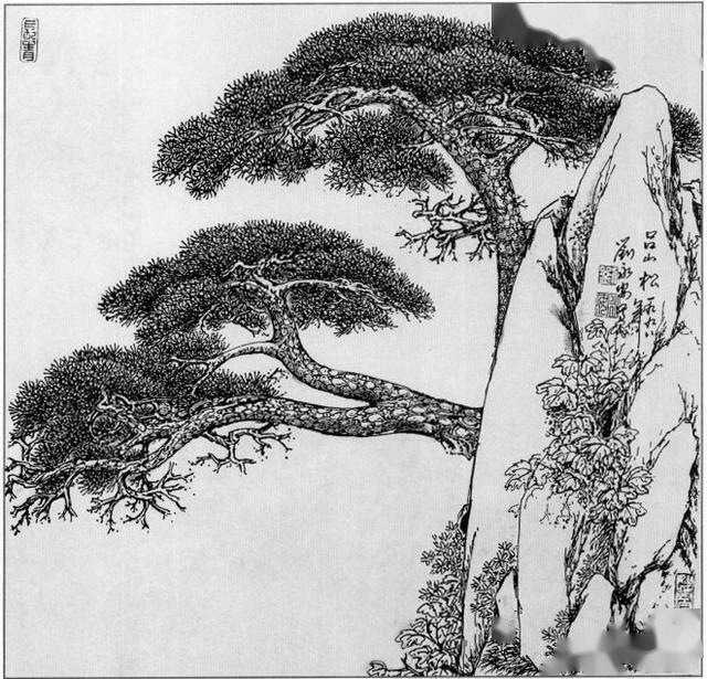 老松树的白描图片图片