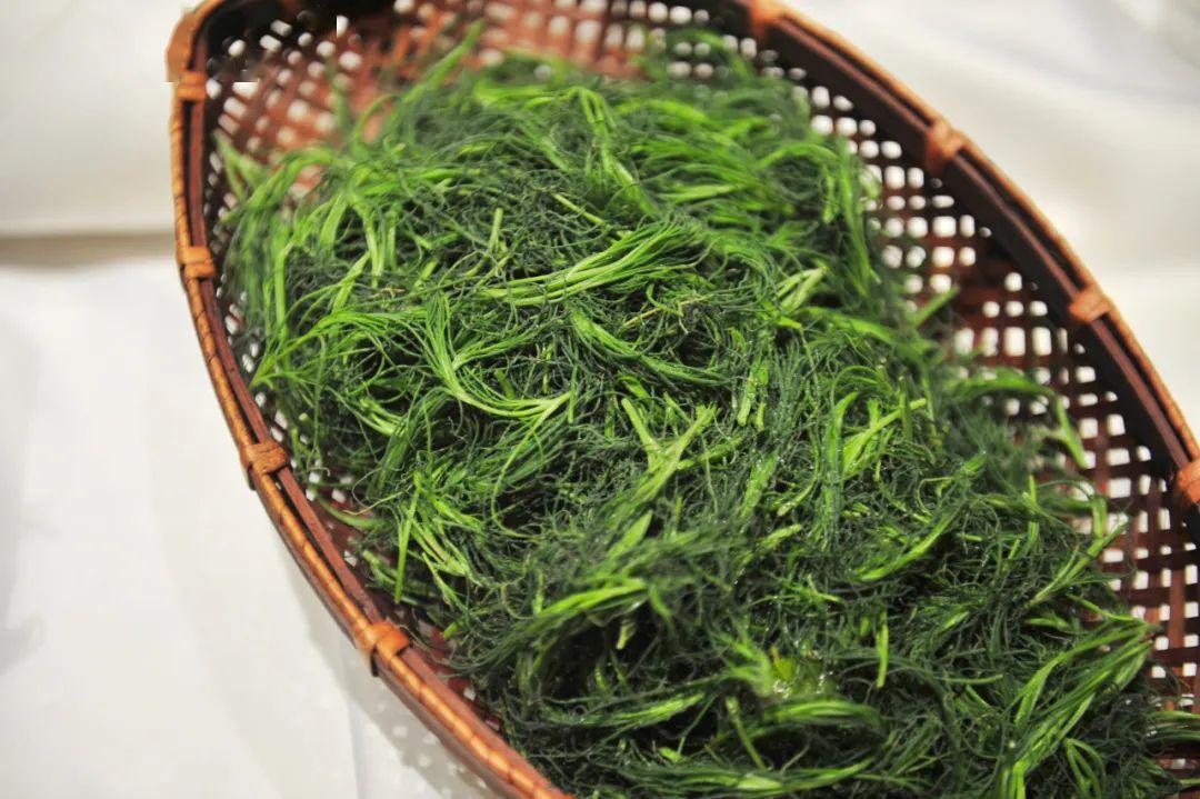 蓬花菜图片大全,蓬花菜图片_大山谷图库