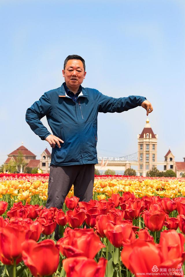 洛阳万安山下豪泽国际郁金香花海摄影