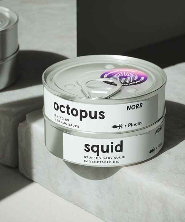 极简北欧风norr海鲜罐头包装设计