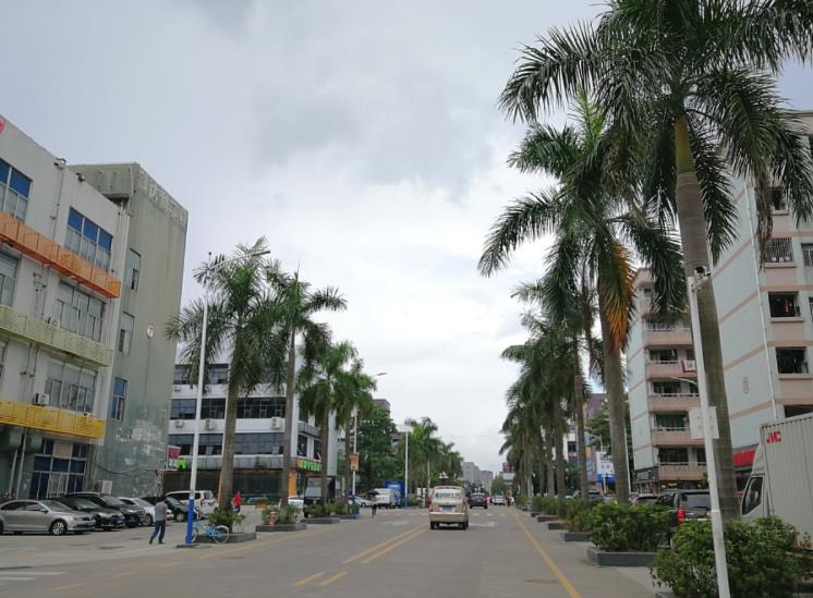 原创深圳大浪街道200多个工业区3000多家工厂打工者随便换工作