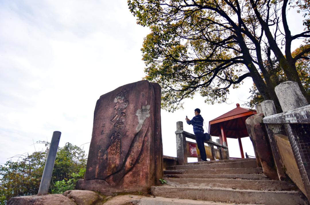 春光灿烂的日子,一起到江津骆来山云深休闲处撩拨好风景