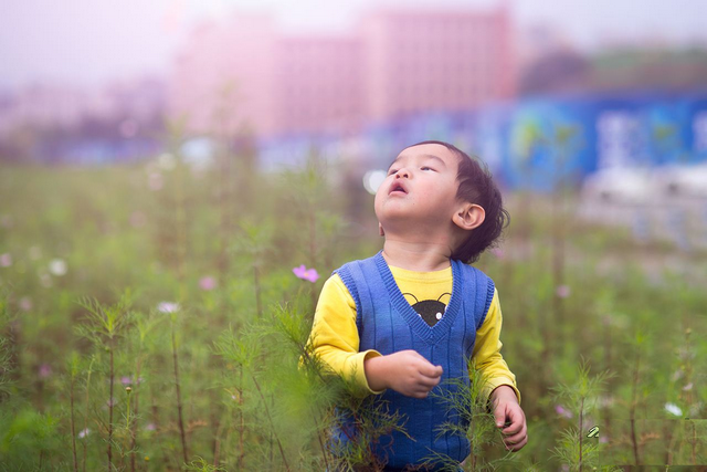 四岁就做作业,怕输在起路线上吗?_小孩