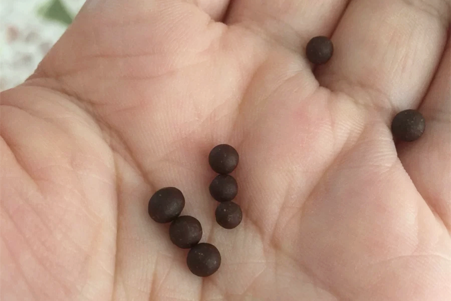 剧叫济公,后来趁着济公的热度推出了济公开胃丹,小时候也叫它搓泥丸儿