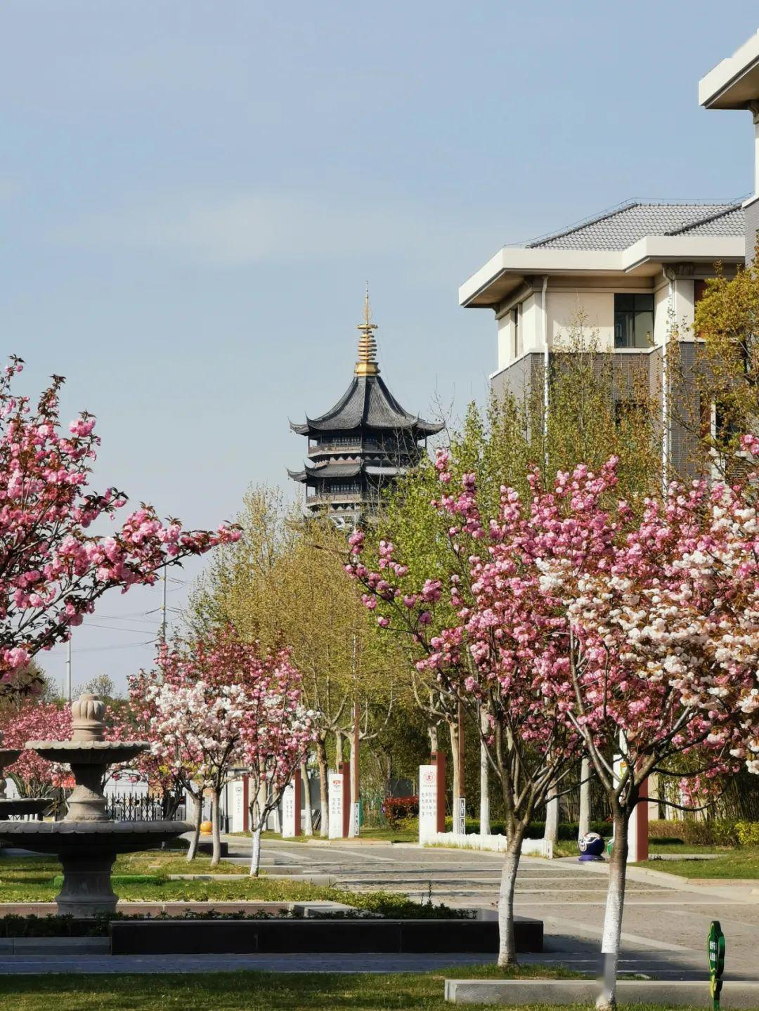 中国教育报刊文报道南师附中宿迁分校优质教育实践