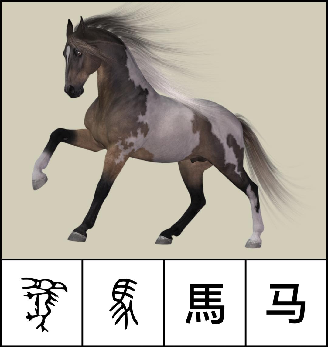 设计师的历史课——汉字篇_象形