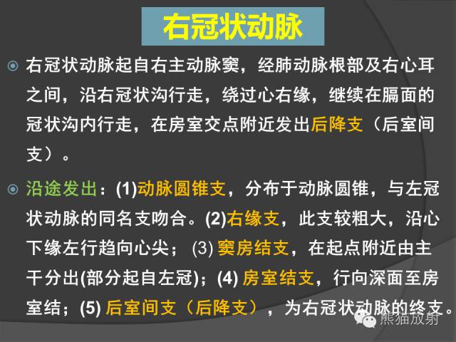 冠狀動脈系統解剖cta解剖分段及中英文名稱對照