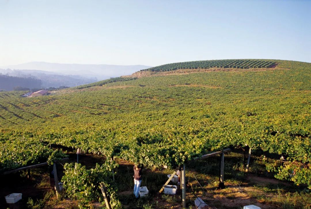 机遇与挑战,为什么酒商都在说西班牙酒有潜力?_产区