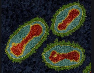 原创人无少长谁免于痘说说清朝和天花病毒斗争的那些事儿