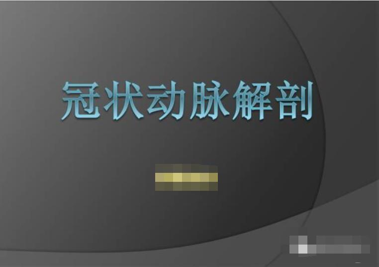 冠狀動脈系統解剖cta解剖分段及中英文名稱對照