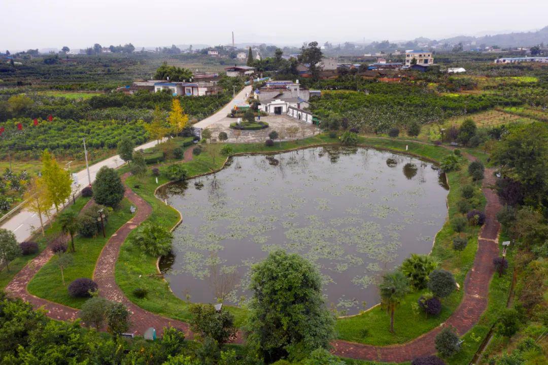 乡村振兴张文胜的红丰梦