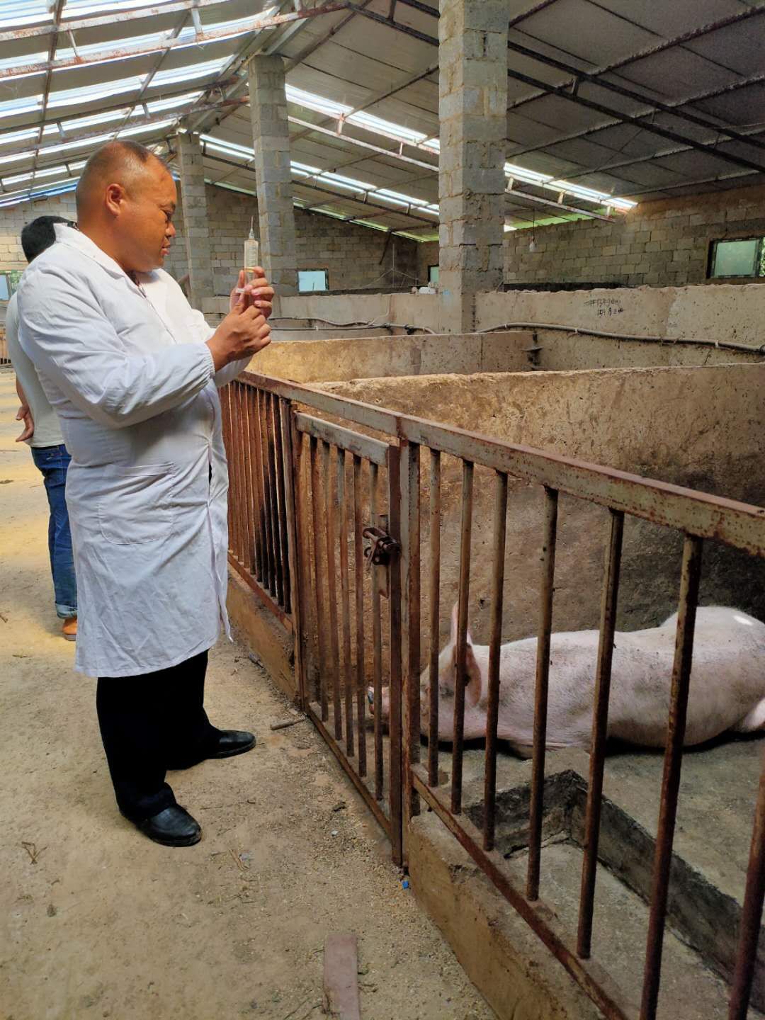 养什么家畜风险低利润大 养哪种家畜挣钱