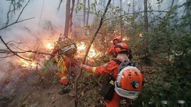 3月28日,30日,涼山州木裡縣項腳鄉,西昌市瀘山風景區相繼發生森林火災