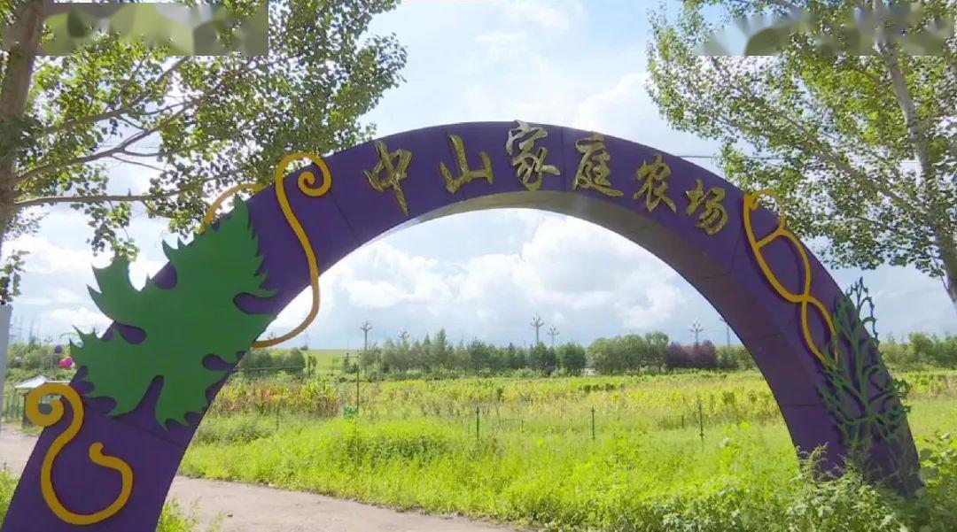 点赞穆棱市八面通镇多措并举走出强村富民路