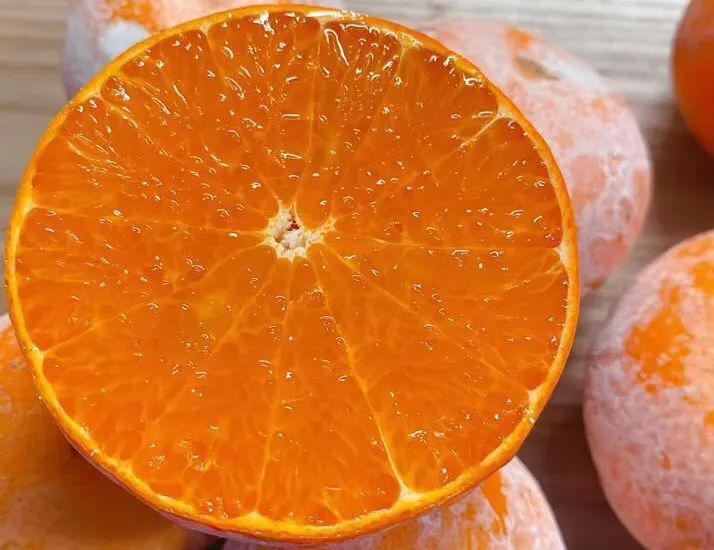 甜上心坎的广西茂谷柑来了一口爆汁只有1的人吃过