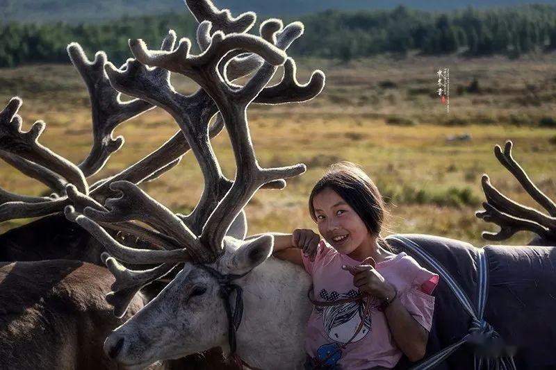 独家特种线路:探秘蒙古驯鹿部落秋色风光人文摄影团(2020.09,12-21)