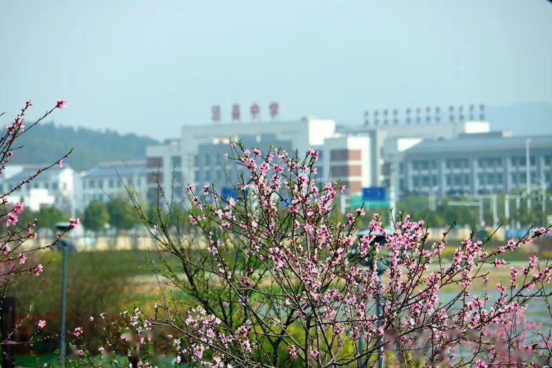 转发泾县中学同学你好欢迎返校