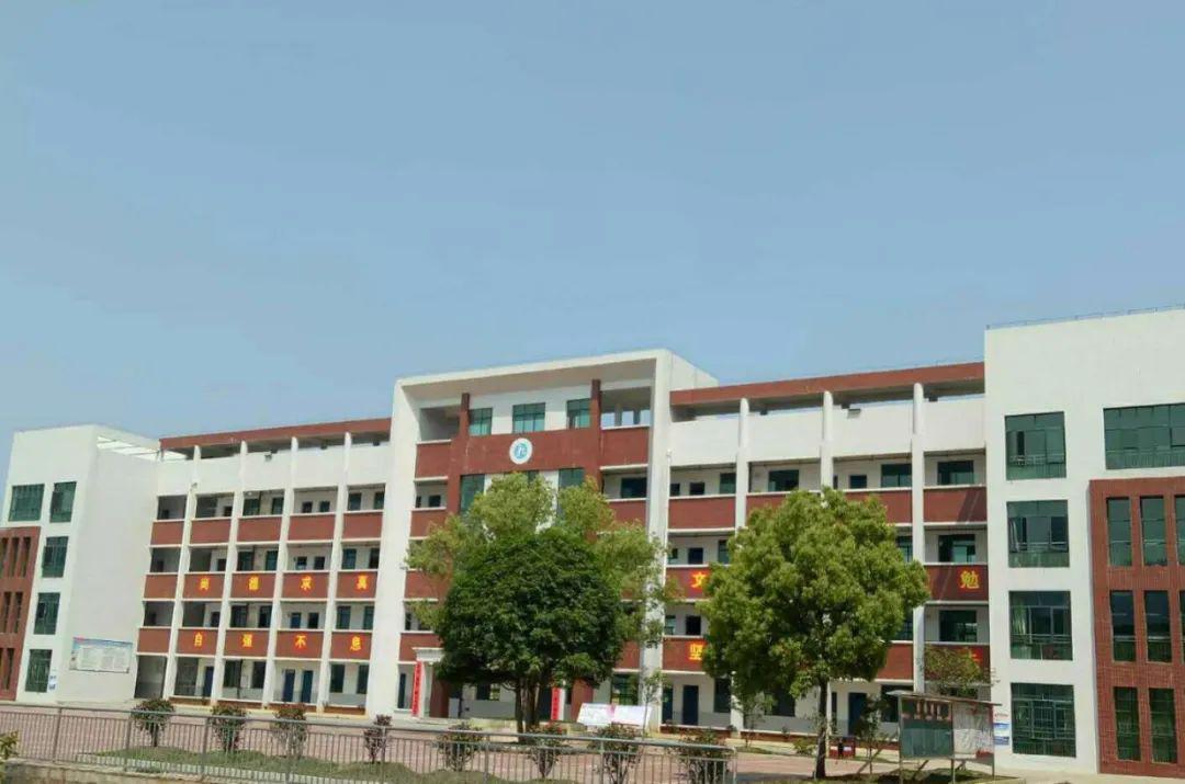 返校复学九堡中学抓实抓细全力做好学生返校复学工作