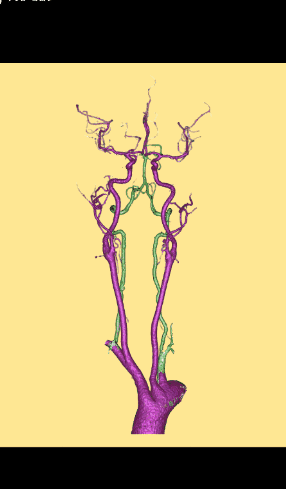 286_489竖版 竖屏gif 动态图 动图