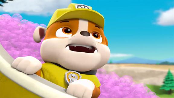 狗狗巡逻队小力第一次看到飞机很吃惊汪汪队立大功