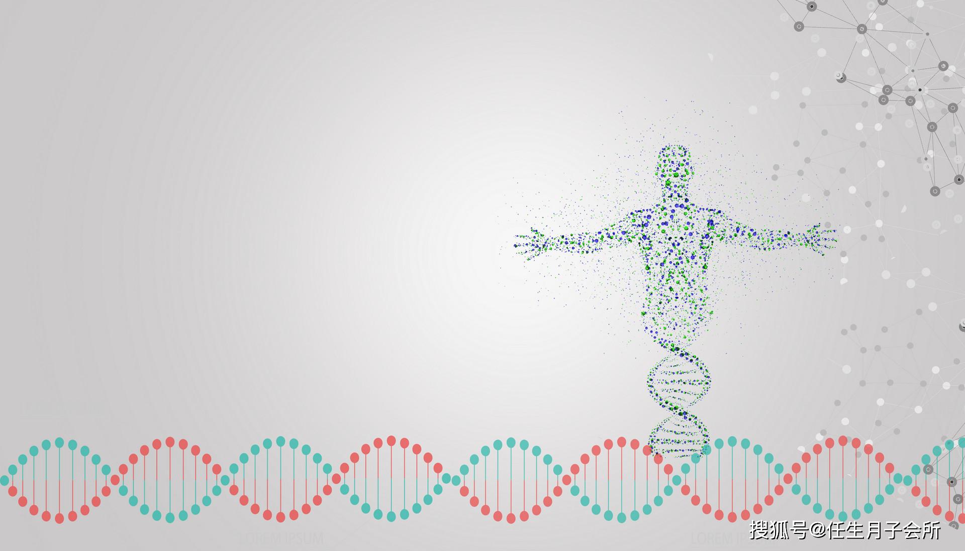 人类的基因有99%是相似的,所以人类展现出的生理特征基本都是一样的