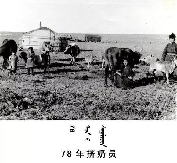 内蒙古阿巴嘎旗六七十年代的老照片看了让人无尽感慨