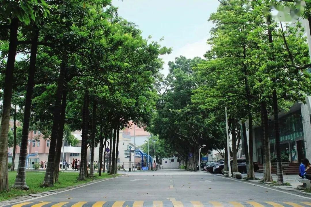 广外艺的标志物)优越地理(天河客运站旁)燕岭校区了哦接下来就到校园