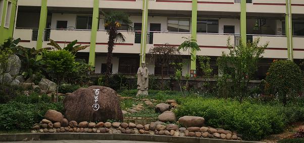 盼开学,相拥四月的百草园!_小学