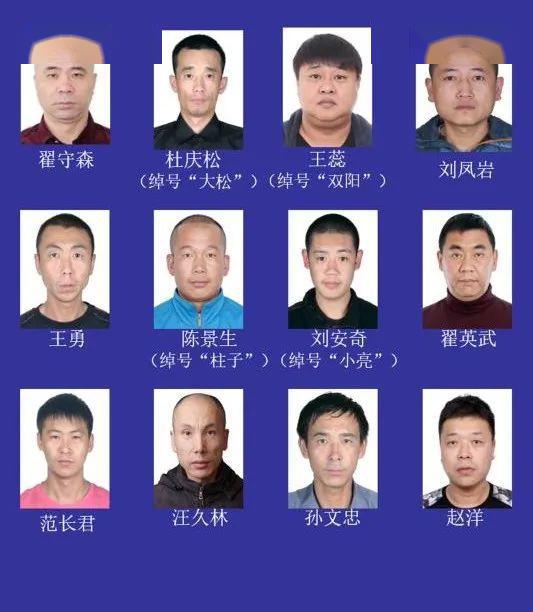 芜湖县黑恶人员名单图片