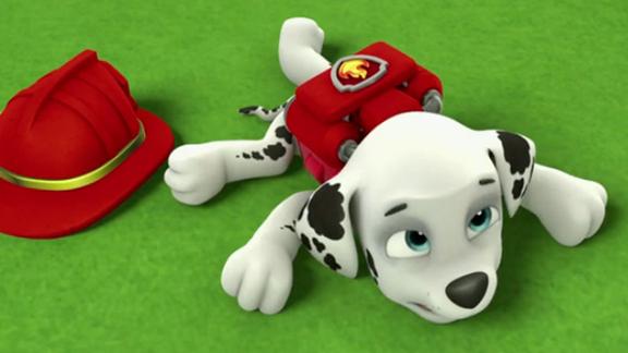 狗狗巡逻队毛毛喝冷水肚子痛看医生汪汪队立大功