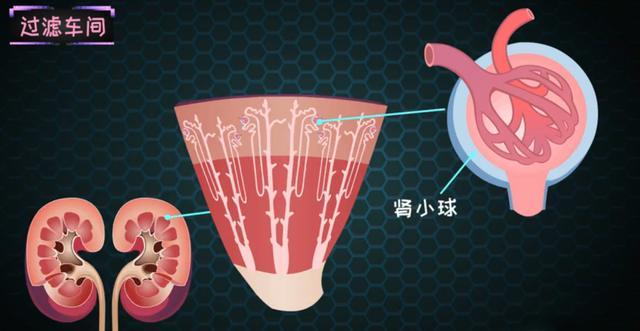 原创惊糖尿病的5个坏习惯若是不改3年糖肾6年肾衰