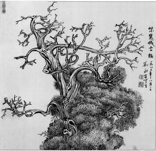 线描松树图谱选页欣赏下