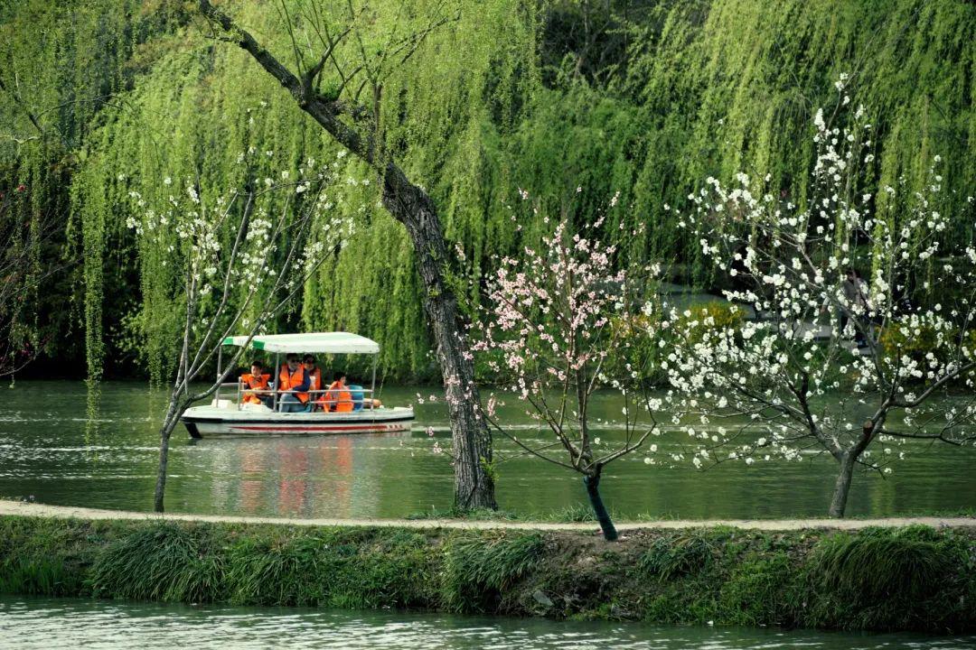 于是,在春天漫步_spring