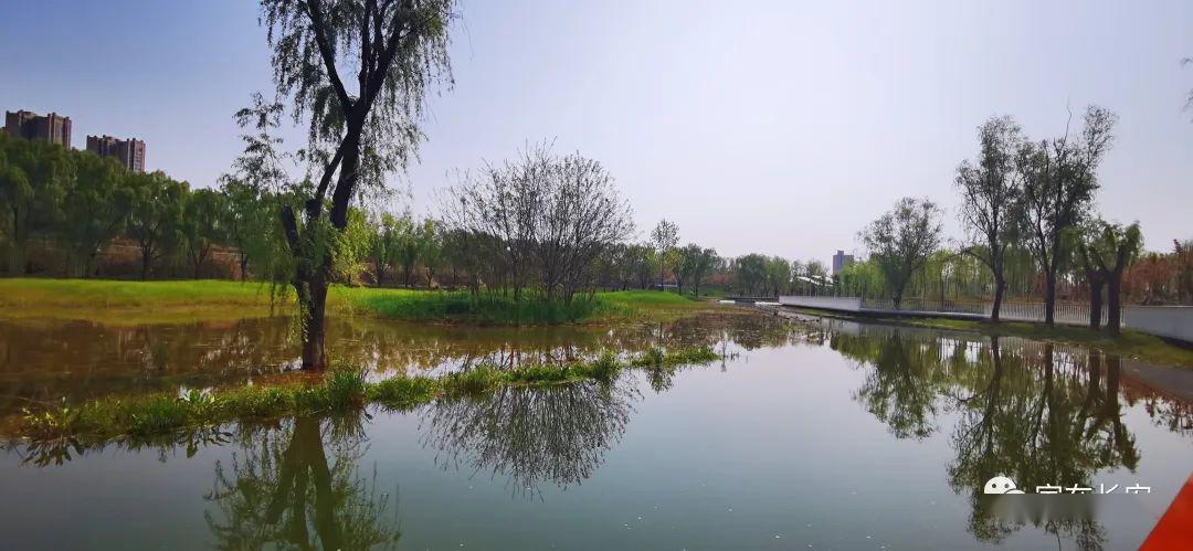 水景看長安樊川公園放飛心情漫步休閒賞溼地水景