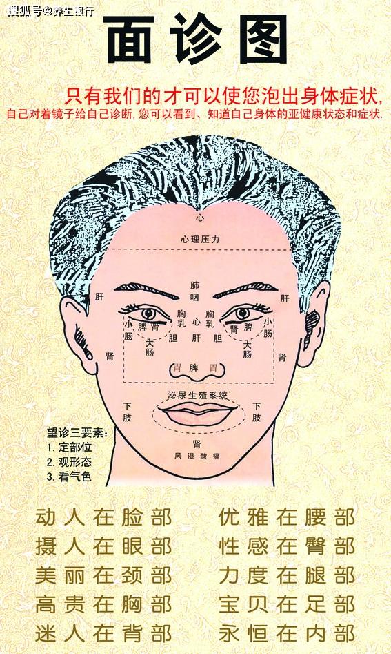 知道面诊,手诊的朋友有很多,汗诊通过看衣服湿的地方了解您的身体有