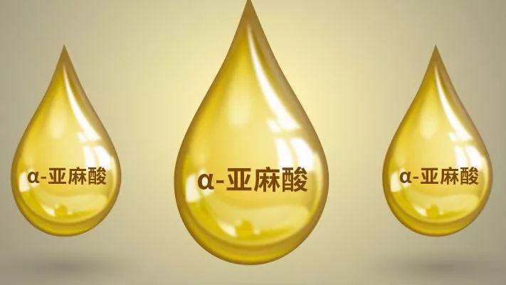 什么是人体必需脂肪酸