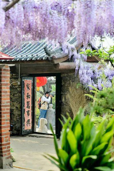 费县紫藤山庄门票图片