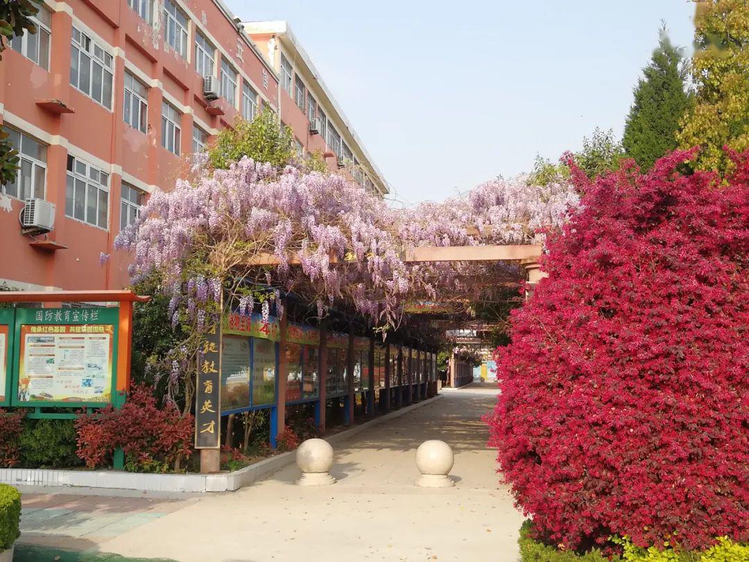 快来报名泗县双语中学招聘数十名教师