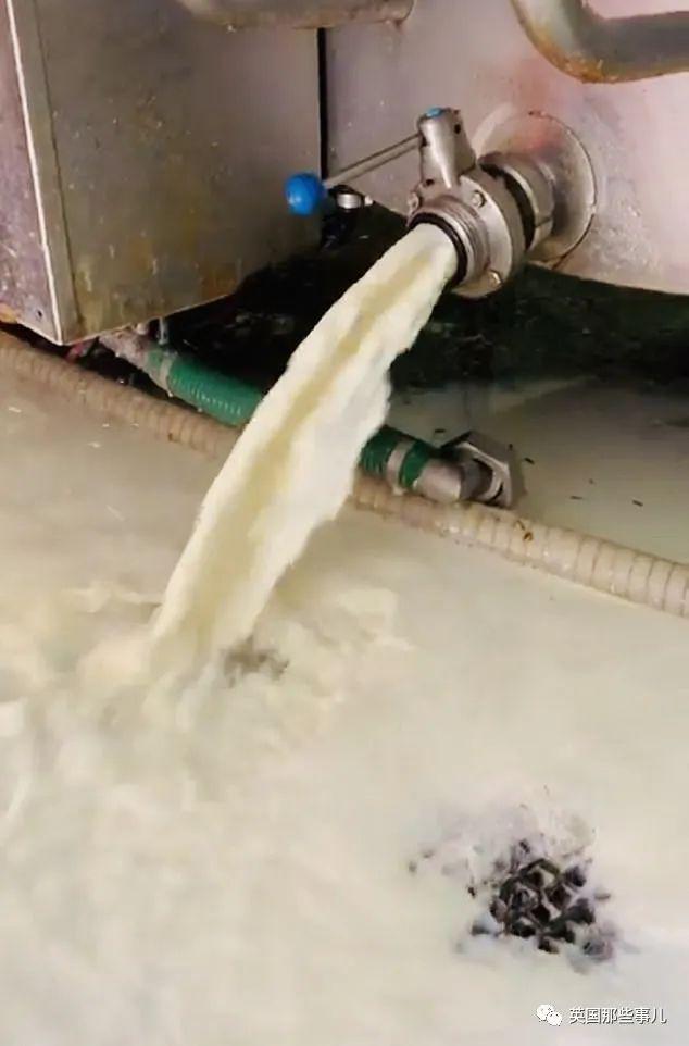 疫情萧条全世界奶农开始疯狂倒牛奶英国一天倒掉150万升