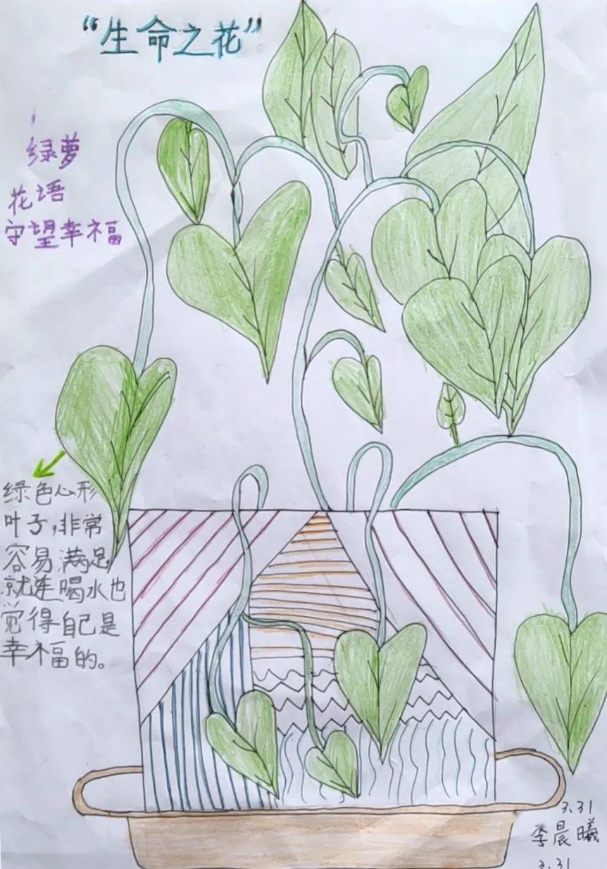 香山科普:"阳台花园" 自然笔记作品展