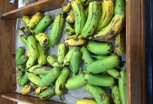 饭蕉,又称"非洲红薯",长得很像香蕉,但是比香蕉大又粗,有些饭蕉有一米