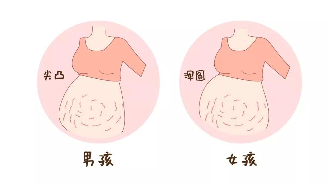 怀女孩肚子形状图片图片