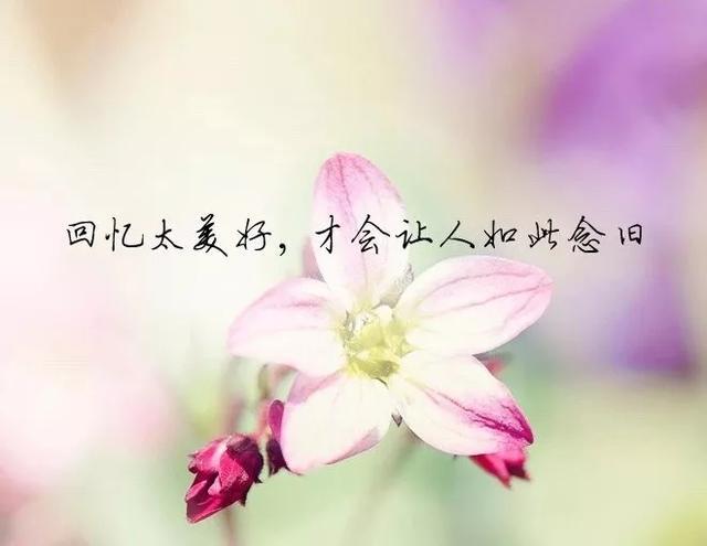 2020抖音很流行的经典小句子