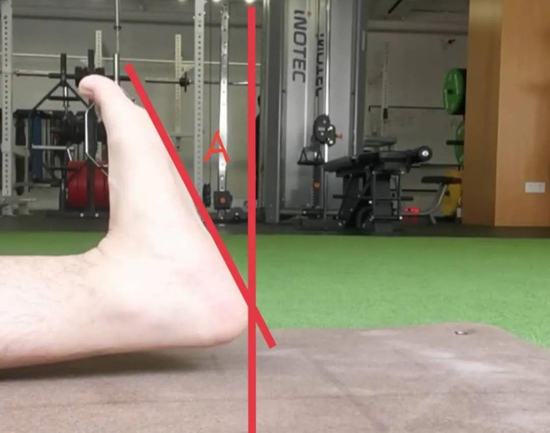 仰卧踝背屈作者总结了九个最基础的体态评估,现在分享给大家.